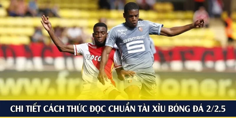 Chi tiết cách thức đọc chuẩn tài xỉu bóng đá 2/2.5