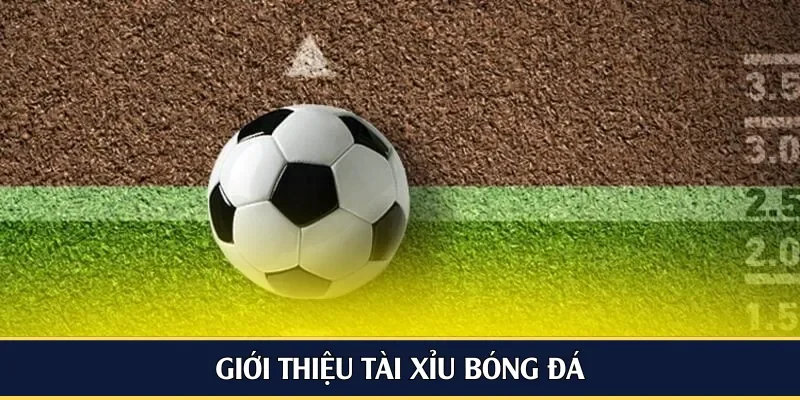Giới thiệu tài xỉu bóng đá