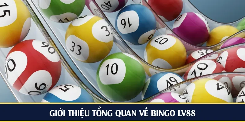Giới thiệu tổng quan về Bingo LV88