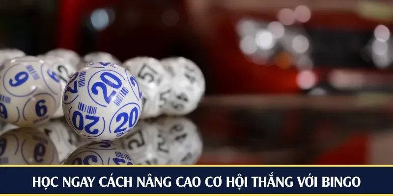Học ngay cách nâng cao cơ hội thắng với Bingo