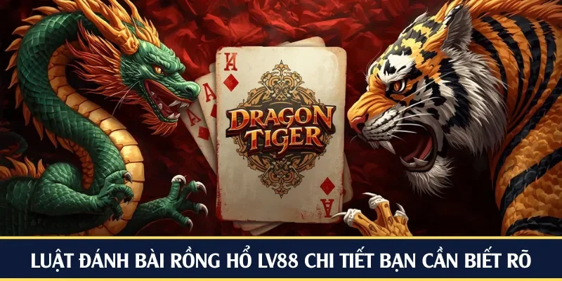 Luật đánh bài rồng hổ LV88 chi tiết bạn cần biết rõ
