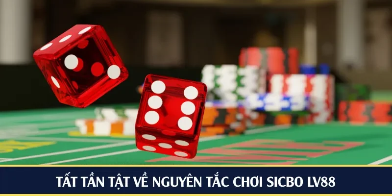 Tất tần tật về nguyên tắc chơi Sicbo LV88